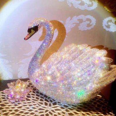 金星棋牌手机app下载